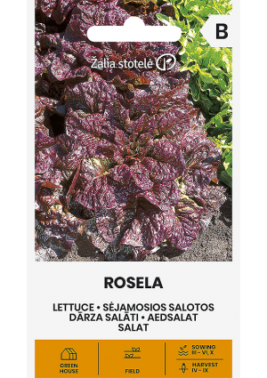 Saláta Rosela Z.S SL