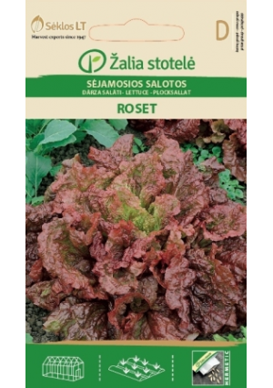Saláta Roset Z.S SL