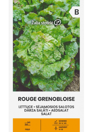 Saláta Rouge Grenobloise Z.S SL