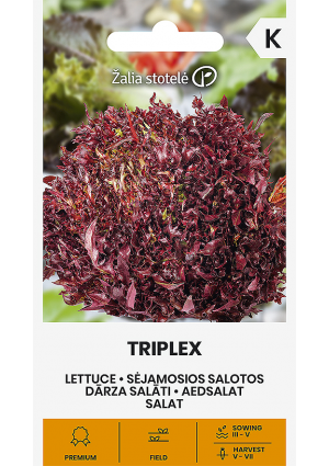 Saláta Triplex Z.S SL