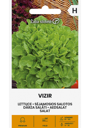 Saláta Vizir Z.S SL