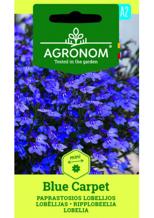 Lobélia Blue Carpet SL AGR