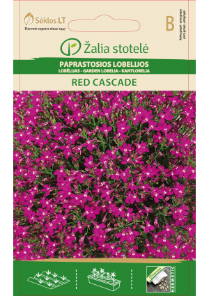 Lobélia Red Cascade Z.S SL