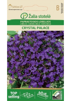 Lobélia Crystal Palace Z.S SL