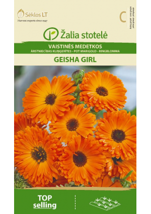 Körömvirág Geisha Girl Z.S SL