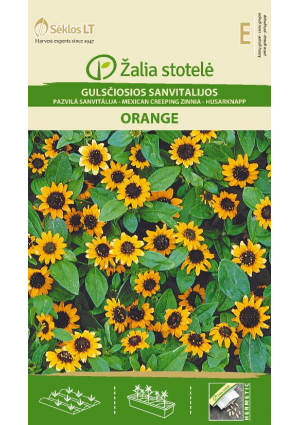 Heverő Tömpevirág  Orange Z.S SL