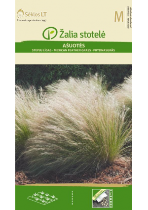 Mexikói tollfű Mexikan Feather Grass  Z.S SL