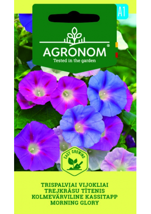 Törpe hajnalka AGR SL