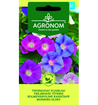 Törpe hajnalka AGR SL