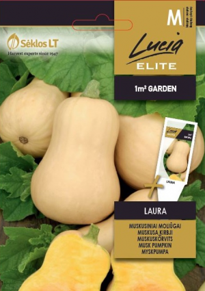 Sütötök Laura ELN SL