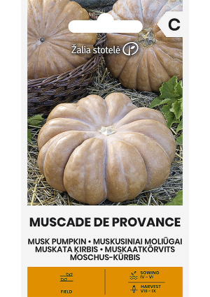 Sütőtök Muscade De Provance Z.S SL