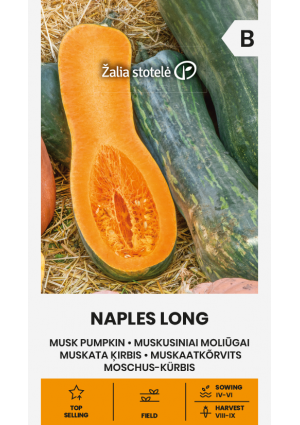 Sütőtök Naples Long Z.S SL