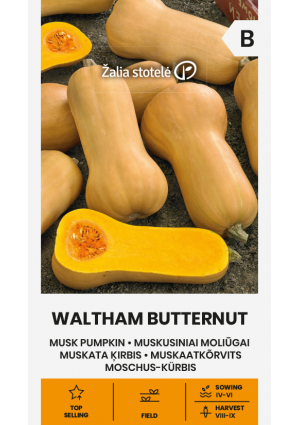 Sütőtök Waltham Butternut Z.S SL