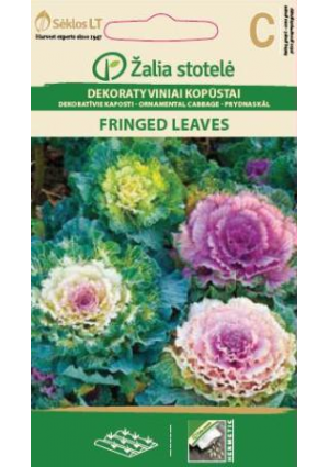 Díszkáposzta  Fringed Leaves Z.S SL
