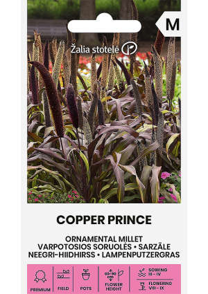 Indiai köles Copper Prince Z.S SL