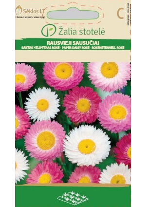 Rózsagyopár Paper Daisy Rose Z.S SL