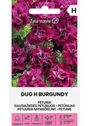 Petunia Duo H Burgundy Z.S SL