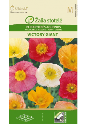 Mákvirág Izlandi Victory Giant Z.S SL