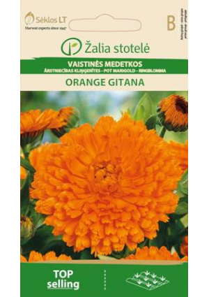 Körömvirág Orange Gitana Z.S SL