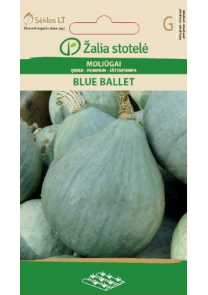 Sütőtök Blue Ballet Z.S SL