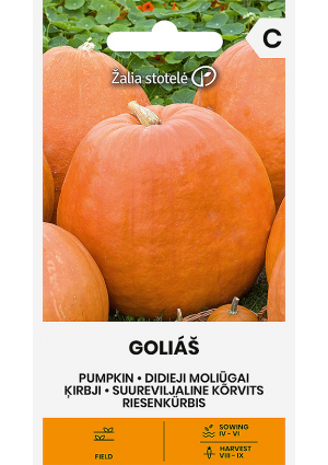 Sütőtök GOLIÁŠ Z.S SL