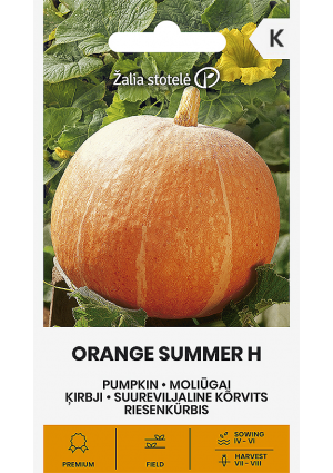 Sütőtök Orange Summer Hibrid Z.S SL