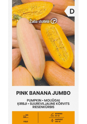 Sütőtök Pink Banana Jumbo Z.S SL