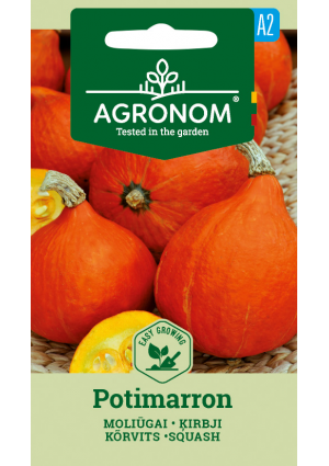 Sütőtök Potimarron  SL AGR