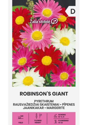 Őszi margitvirág Robinson's Giant Z.S SL