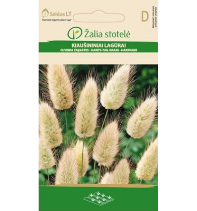 Nyúlfark fű Rabbit’s Tail Grass Z.S SL