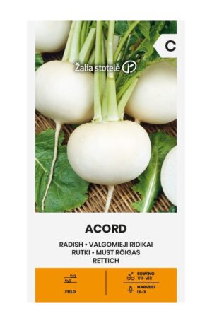 Retek Acord Z.S SL