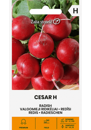 Retek Cesar Hibrid Z.S SL