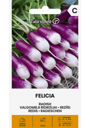 Retek Felicia Z.S SL