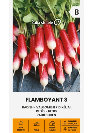 Retek Flamboyant Z.S SL