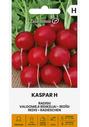 Retek Kaspar Hibrid Z.S SL