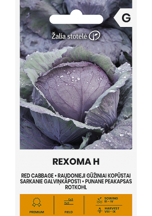 Káposzta (Vörös káposzta) Rexoma Hibrid  Z.S SL