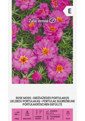Porcsinrózsa Rose Moss Z.S SL
