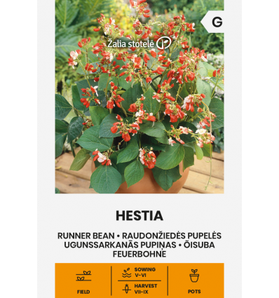 Bab Hestia (Tűzbab) Z.S SL