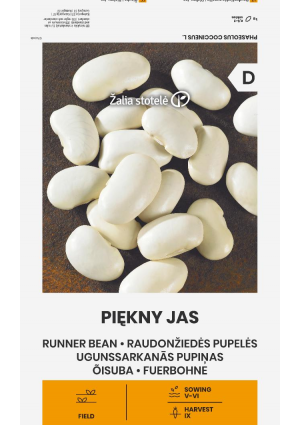 Bab PIĘKNY JAS (Futóbab) Z.S SL