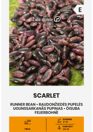 Bab Scarlet (Futóbab) Z.S SL