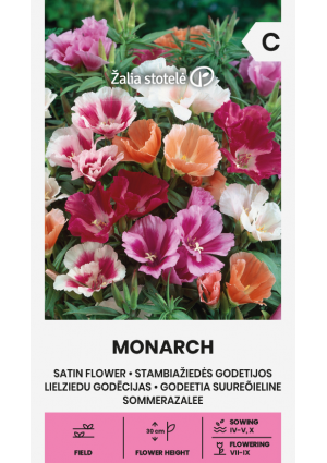 Tündérkürt (Nyári azálea) Monarch Z.S SL