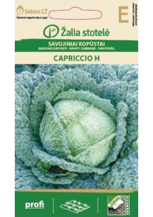 Kelkáposzta Capriccio Hibrid Z.S SL