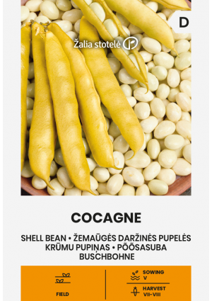 Bab Cocagne (Fejtős-szárazbab ) Z.S SL