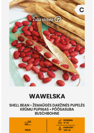 Bab Wawelska (Szárazbab) Z.S SL