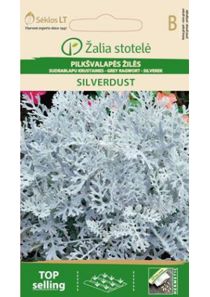 Hamvaska Silverdust Z.S SL