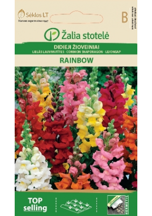 Tátika Rainbow Z.S SL