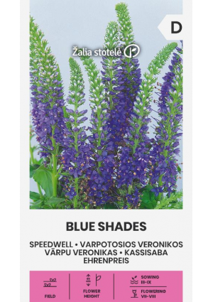 Veronika Macskafarkú Blue Shades Z.S SL