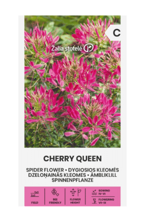 Kleopátra tűje Cherry Queen Z.S SL