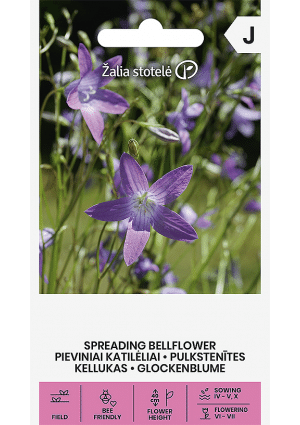 Terebélyes harangvirág Spreading Bellflower Z.S SL