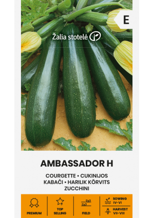 Cukkini Ambassador Hibrid Z.S SL